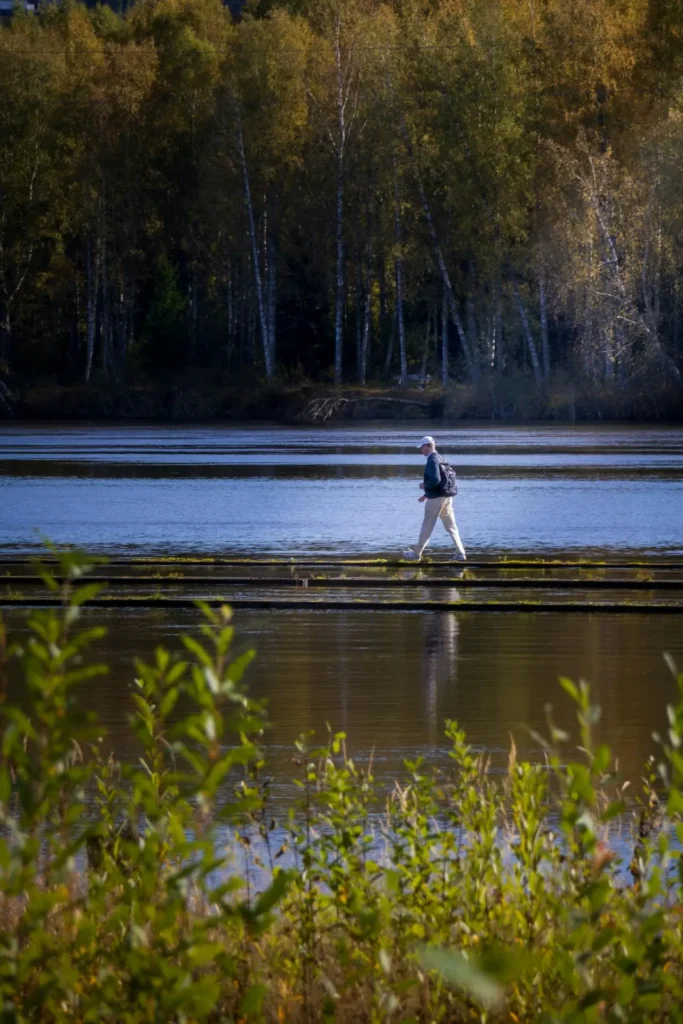 Nature walk for mental health and digital detox